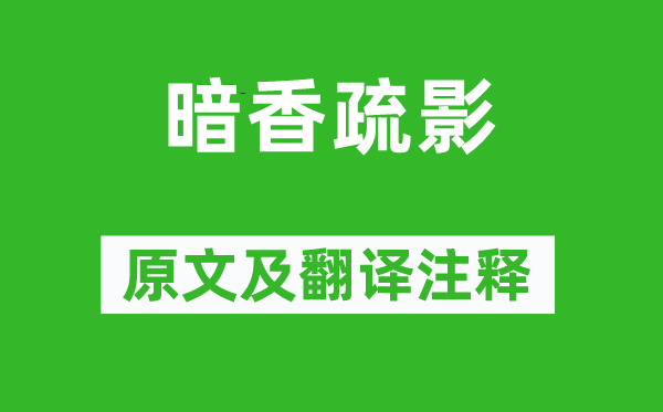 姜夔《暗香疏影》原文及翻譯注釋,詩意解釋