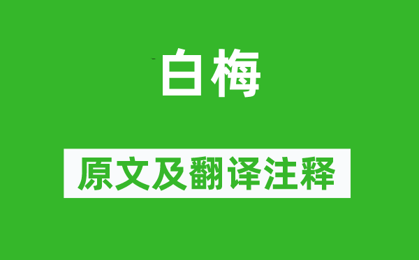 王冕《白梅》原文及翻譯注釋,詩意解釋