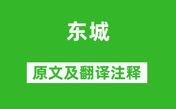 趙孟頫《東城》原文及翻譯注釋,詩意解釋