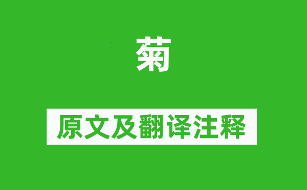 羅隱《菊》原文及翻譯注釋,詩(shī)意解釋