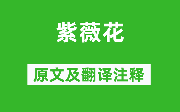 杜牧《紫薇花》原文及翻譯注釋,詩(shī)意解釋