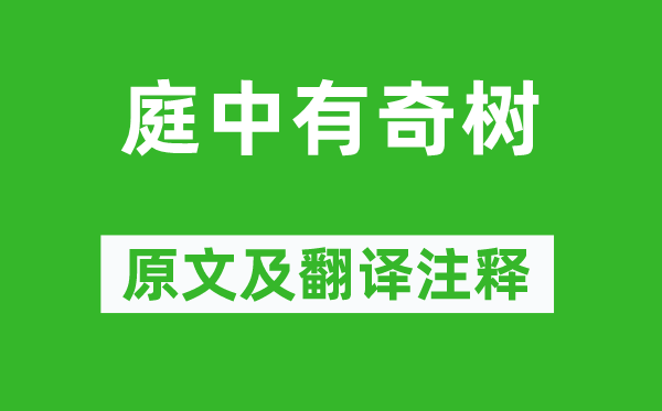 《庭中有奇樹》原文及翻譯注釋,詩意解釋