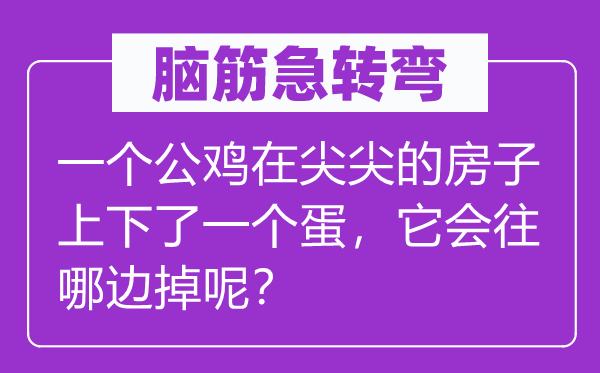 腦筋急轉彎:一個公雞在尖尖的房子上下了一個蛋,它會往哪邊掉呢?