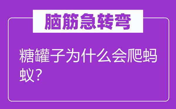 腦筋急轉(zhuǎn)彎:糖罐子為什么會爬螞蟻?