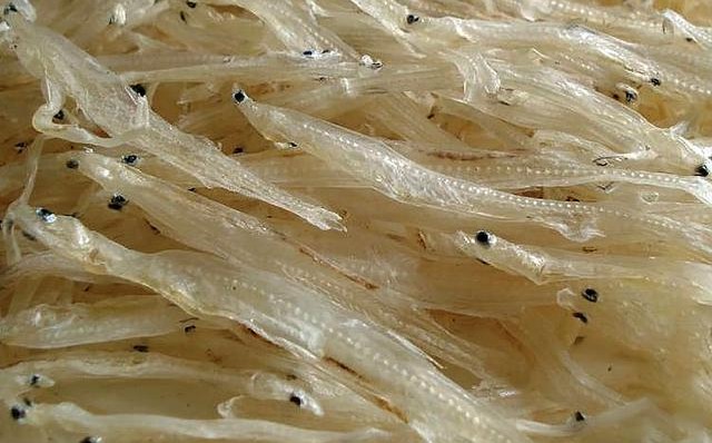 江西老表什么意思,為什么都叫江西人老表?