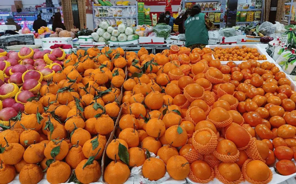 耙耙柑怎么讀,耙耙柑念pa還是ba,耙耙柑和橘子的區別是什么