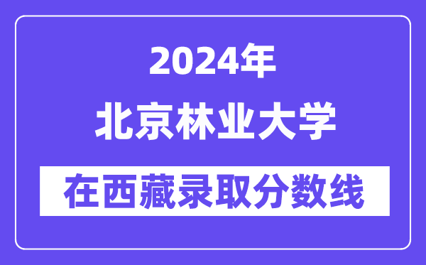 北京林業大學2024年在西藏錄取分數線一覽表（2025年參考）