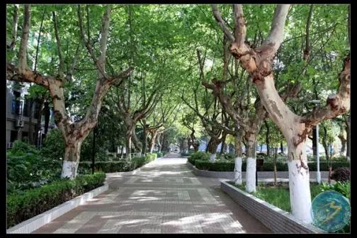 南京第十三中學簡介概況(建校歷史、地址、師資、校訓、環境)