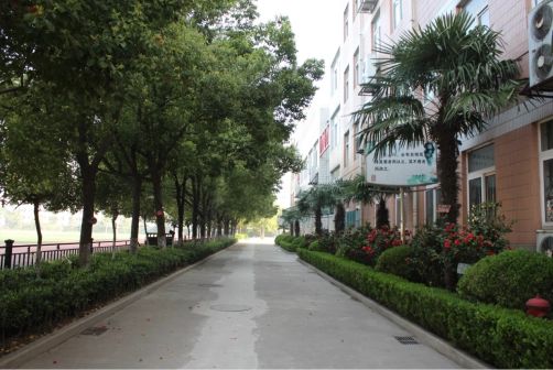 南京第二十九中學(xué)簡介概況(建校歷史、地址、師資、校訓(xùn)、環(huán)境)