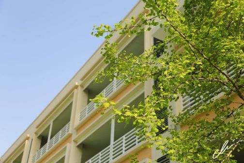 南京第五高級中學簡介概況(建校歷史、地址、師資、校訓、環境)