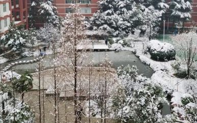 鄭州外國(guó)語(yǔ)學(xué)校在鄭州的排名第幾,南外屬于什么檔次?