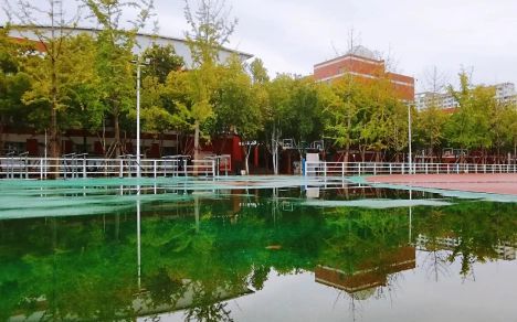 鄭州外國語學校是公立還是私立,是重點中學嗎?