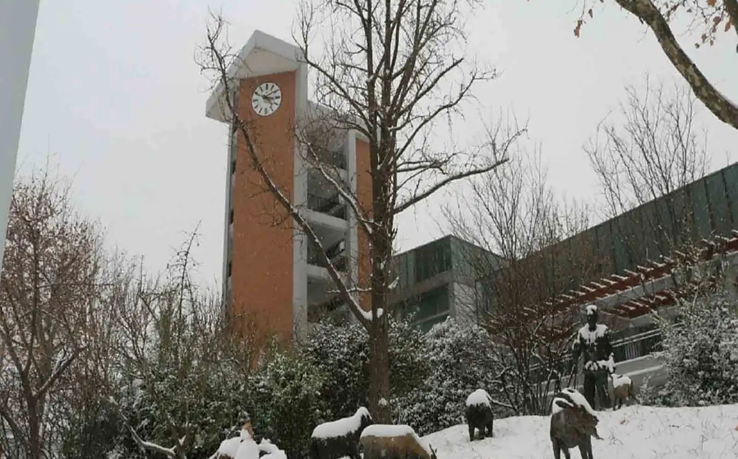 鄭州市第一中學地址在哪里_位于哪個區?