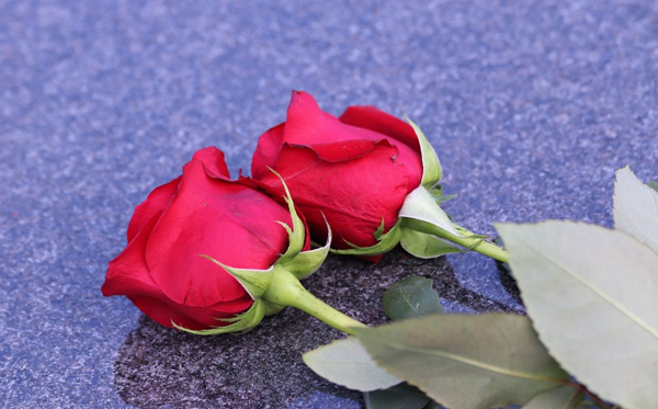 2026年情人節是幾月幾日,情人節送什么禮物給女朋友?