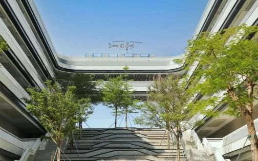 深圳市格致中學校區在哪_在哪個區?