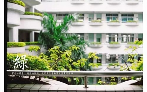 深圳市羅湖外語學校在深圳的排名第幾,屬于什么檔次?